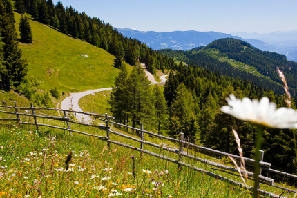 Goldeck – Urlaub in Kärnten am See – Urlaub am Millstätter See – Seevilla Cattina