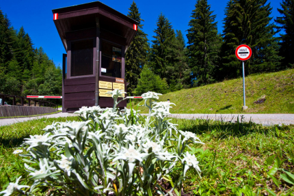 Goldeck – Urlaub in Kärnten am See – Urlaub am Millstätter See – Seevilla Cattina